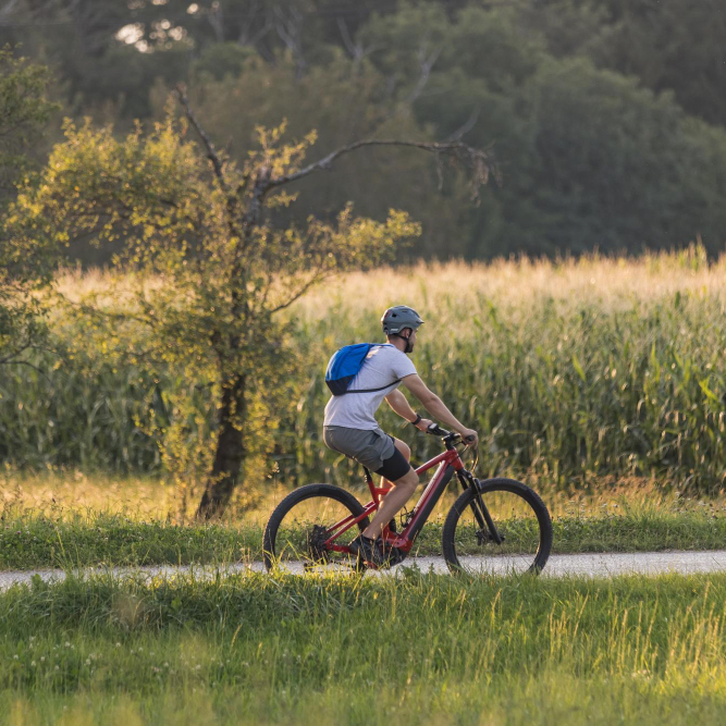 Radtouren Hotel Schlosshof